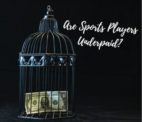 Dollar bill in bird cage next to the words ‘are sports players underpaid?’ written next to it